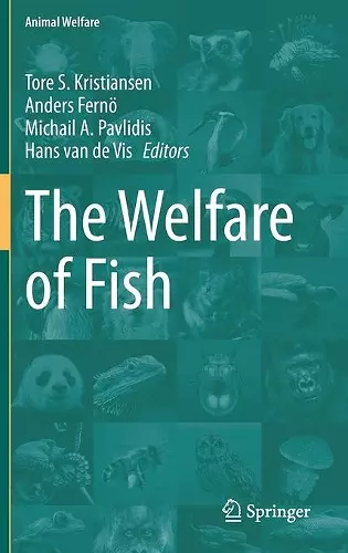 The Welfare of Fish cover