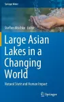 Large Asian Lakes in a Changing World cover