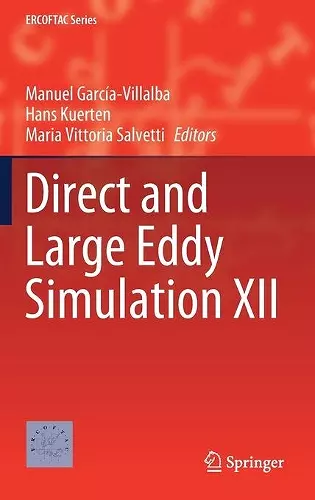 Direct and Large Eddy Simulation XII cover