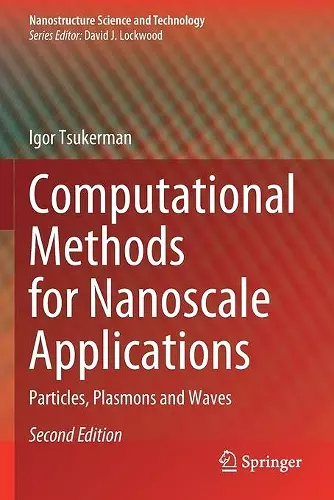 Computational Methods for Nanoscale Applications cover