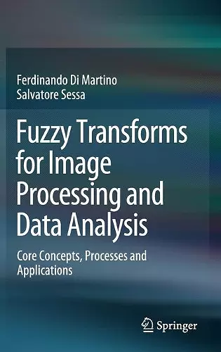 Fuzzy Transforms for Image Processing and Data Analysis cover