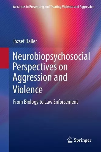 Neurobiopsychosocial Perspectives on Aggression and Violence cover