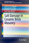 Salt Damage in Ceramic Brick Masonry cover