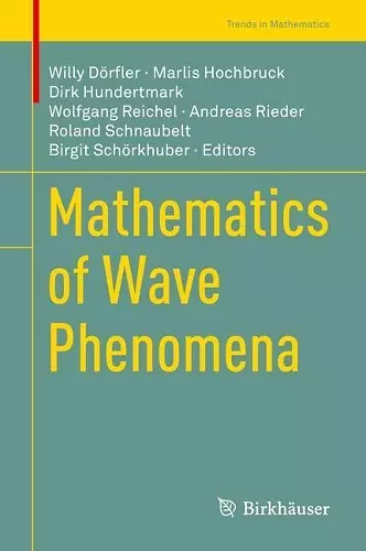 Mathematics of Wave Phenomena cover