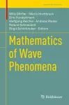 Mathematics of Wave Phenomena cover