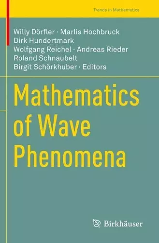 Mathematics of Wave Phenomena cover