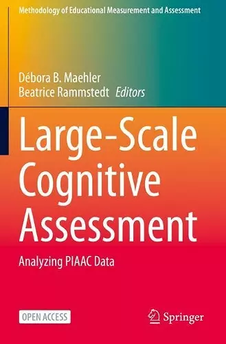 Large-Scale Cognitive Assessment cover