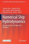 Numerical Ship Hydrodynamics cover
