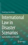 International Law in Disaster Scenarios cover