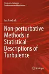 Non-perturbative Methods in Statistical Descriptions of Turbulence cover