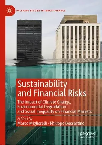 Sustainability and Financial Risks cover