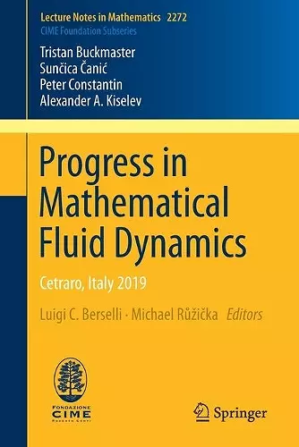 Progress in Mathematical Fluid Dynamics cover