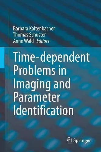 Time-dependent Problems in Imaging and Parameter Identification cover