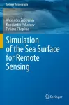 Simulation of the Sea Surface for Remote Sensing cover