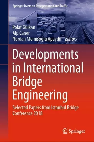 Developments in International Bridge Engineering cover