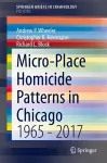 Micro-Place Homicide Patterns in Chicago cover