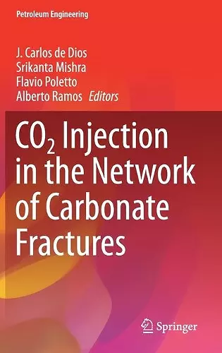 CO2 Injection in the Network of Carbonate Fractures cover