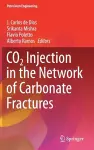 CO2 Injection in the Network of Carbonate Fractures cover