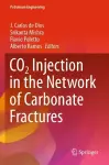 CO2 Injection in the Network of Carbonate Fractures cover