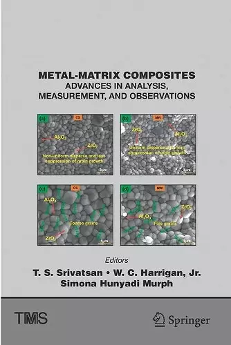 Metal-Matrix Composites cover