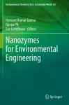 Nanozymes for Environmental Engineering cover