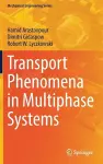 Transport Phenomena in Multiphase Systems cover