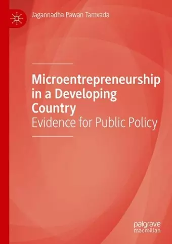Microentrepreneurship in a Developing Country cover