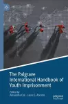 The Palgrave International Handbook of Youth Imprisonment cover