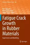 Fatigue Crack Growth in Rubber Materials cover