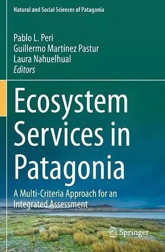 Ecosystem Services in Patagonia cover