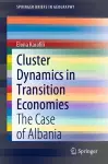 Cluster Dynamics in Transition Economies cover