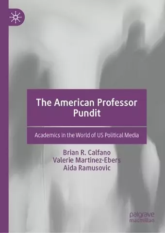 The American Professor Pundit cover