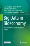 Big Data in Bioeconomy cover