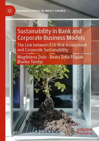 Sustainability in Bank and Corporate Business Models cover