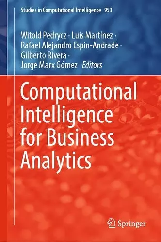 Computational Intelligence for Business Analytics cover