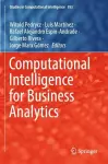 Computational Intelligence for Business Analytics cover