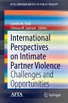 International Perspectives on Intimate Partner Violence cover