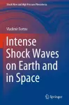 Intense Shock Waves on Earth and in Space cover