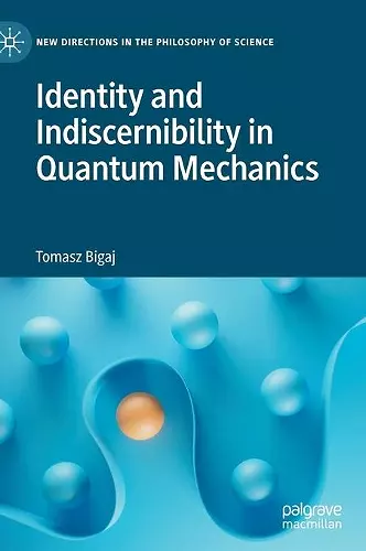 Identity and Indiscernibility in Quantum Mechanics cover