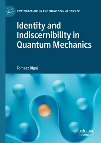 Identity and Indiscernibility in Quantum Mechanics cover