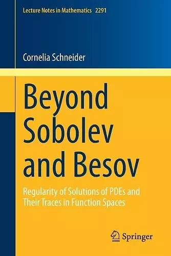 Beyond Sobolev and Besov cover