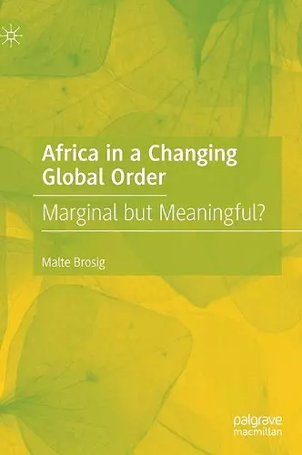 Africa in a Changing Global Order cover