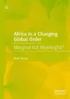 Africa in a Changing Global Order cover