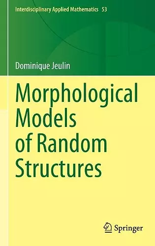 Morphological Models of Random Structures cover