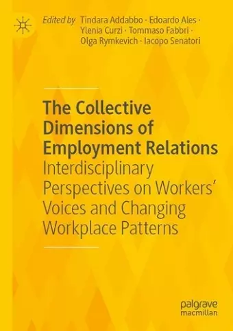 The Collective Dimensions of Employment Relations cover