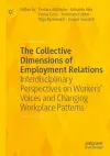 The Collective Dimensions of Employment Relations cover