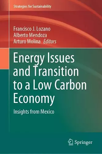 Energy Issues and Transition to a Low Carbon Economy cover