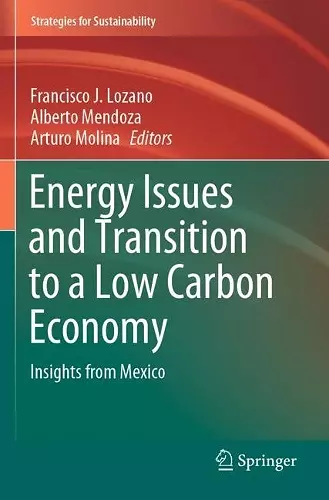 Energy Issues and Transition to a Low Carbon Economy cover