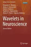 Wavelets in Neuroscience cover