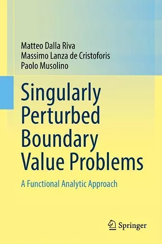 Singularly Perturbed Boundary Value Problems cover